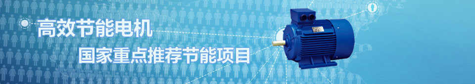 高效節(jié)能電機