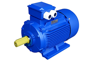 交流永磁同步電動(dòng)機(jī)